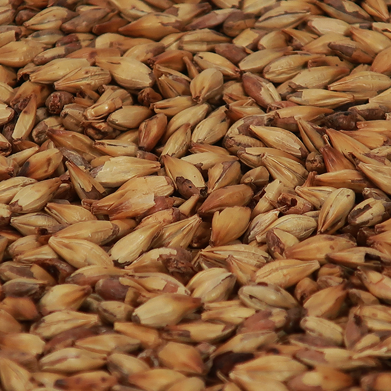 Bestmalz Caramel Pils ViBrygger.dk